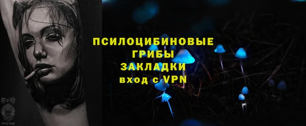 меф Переславль-Залесский