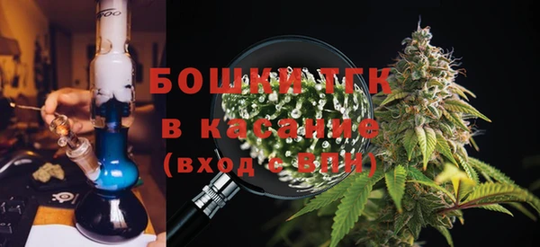 соль ск Алзамай