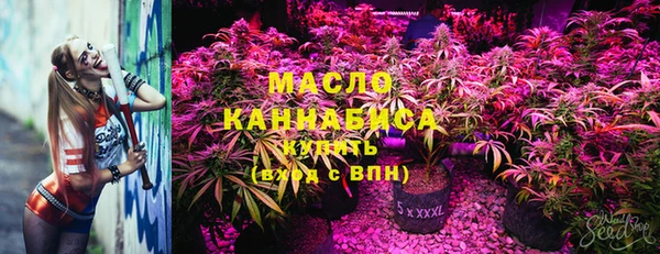 соль ск Алзамай