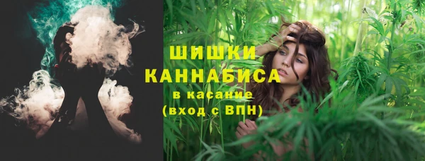 соль ск Алзамай