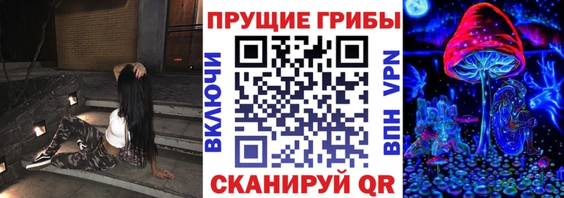 Галлюциногенные грибы мицелий  купить  сайты  OMG ссылка  Алушта 